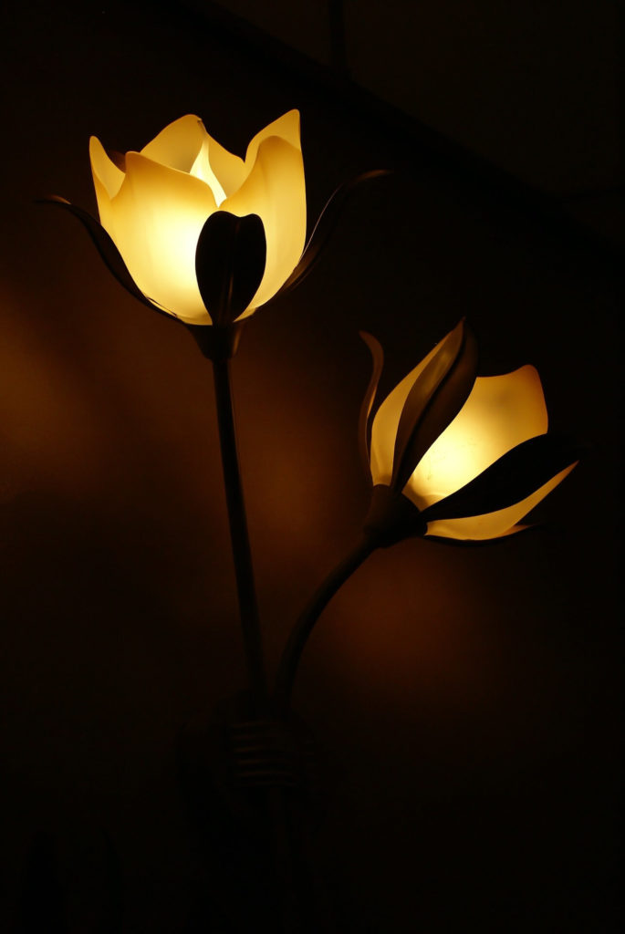 oswietlenie-dekoracyjne-kwiaty