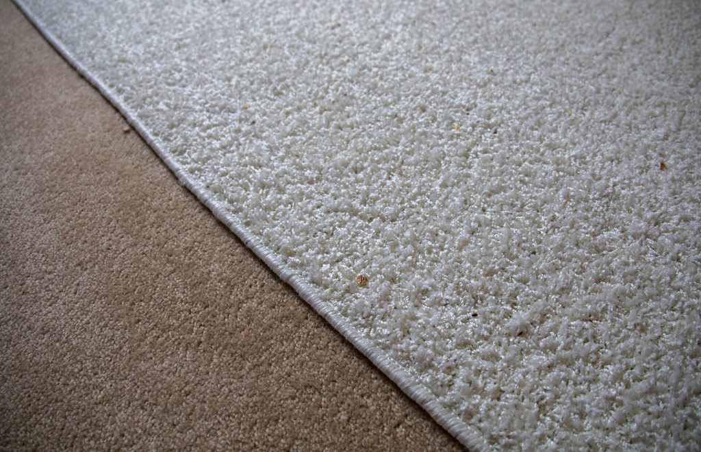 Efekty odkurzania dywanu odkurzaczem Neatsvor X600