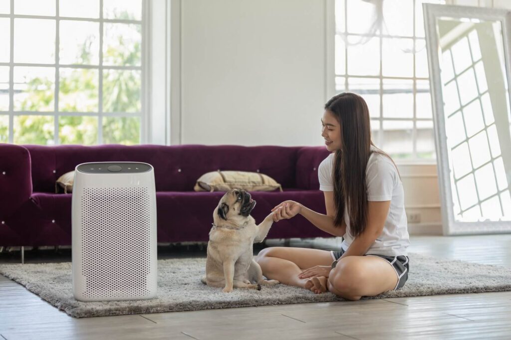 5 wskazówek jak czyścić i dbać o oczyszczacz powietrza w domu